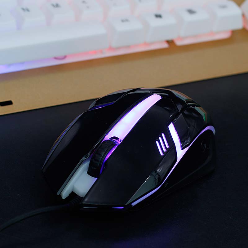 Wired Optical RGB Gaming & Office Mouse
