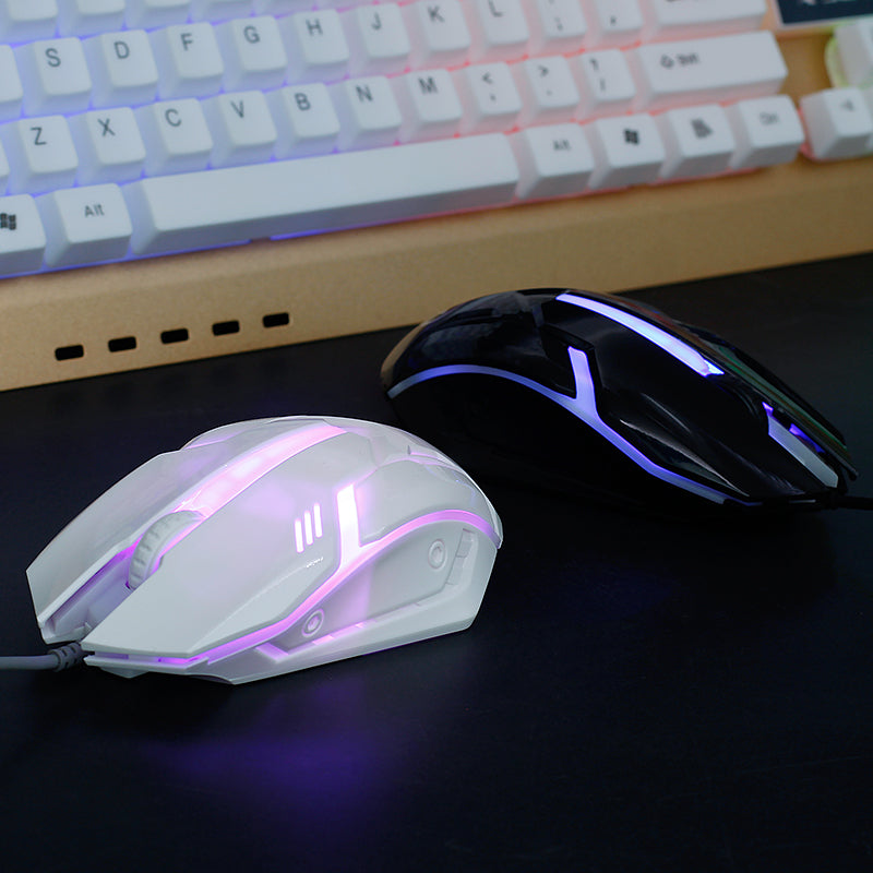 Wired Optical RGB Gaming & Office Mouse