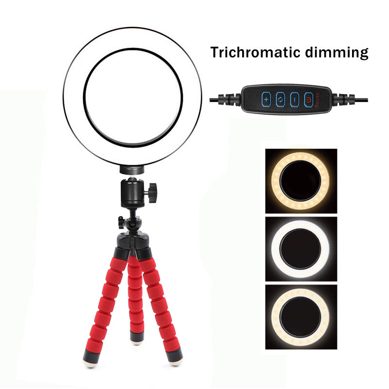 LED Ring Light with Fill Light Bracket and 6-Inch Octopus Tripod for Desktop Live Streaming