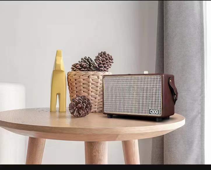 Mini Portable Bluetooth Speaker with Microphone