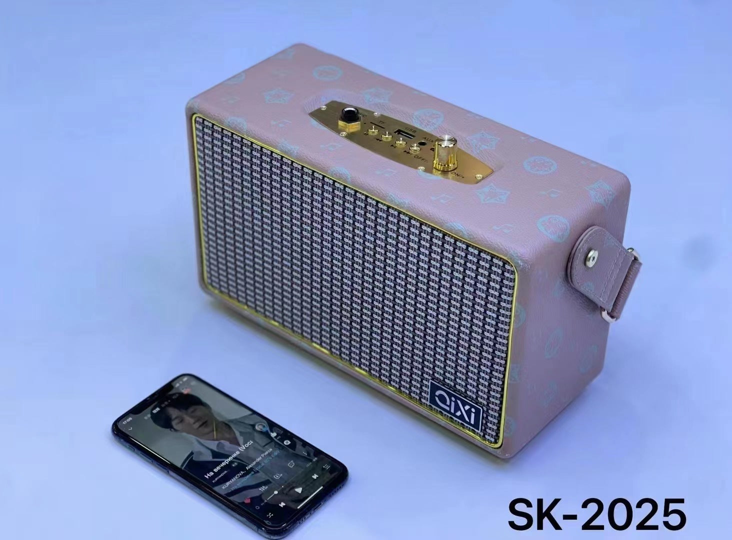 Mini Portable Bluetooth Speaker with Microphone