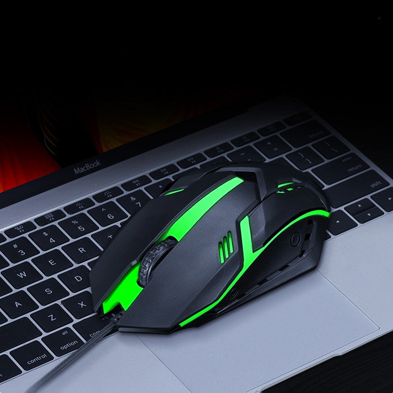Wired RGB USB Gaming & Office Mouse